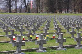 Uroczystości na Cmentarzu Żołnierzy 2 Armii Wojska Polskiego w Zgorzelcu
