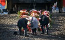 85 rocznia i zsylki na sybir  warszawa foto barbara jamrocha udskior