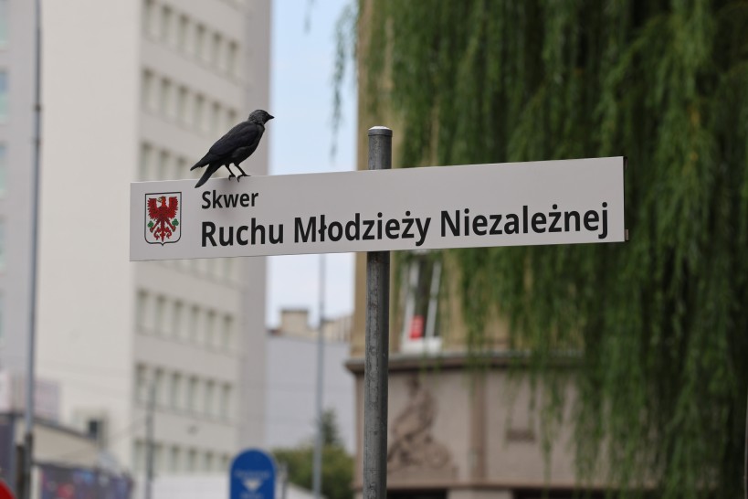 2025.08.28   gorzow wielkopolski  