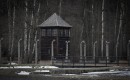 2026.01.27   rocznica wyzwolenia auschwitz  