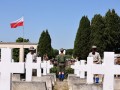 2026.05.20   polski cmentarz wojenny   casamassima  