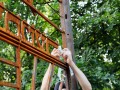 22.07.2026   marsz pamieci